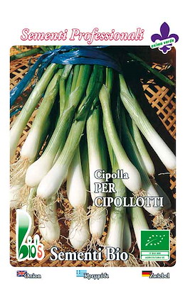 MEDIA TONDA MEDIA BIANCA - GIORNO LUNGO