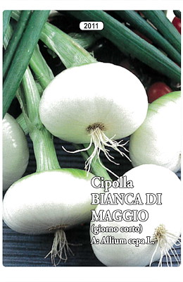 MEDIO-PRECOCE PIATTA MEDIA BIANCA - GIORNO MEDIO