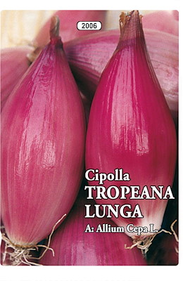 MEDIO-TARDIVA ALLUNGATA GROSSA ROSSA - GIORNO MEDIO