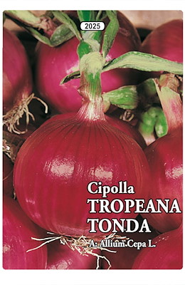 MEDIO-TARDIVA TONDA GROSSA ROSSA - GIORNO MEDIO