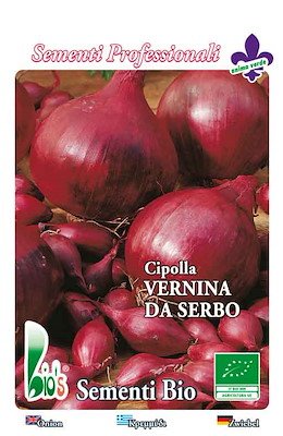 TARDIVA TONDA GROSSA ROSSA - GIORNO LUNGO