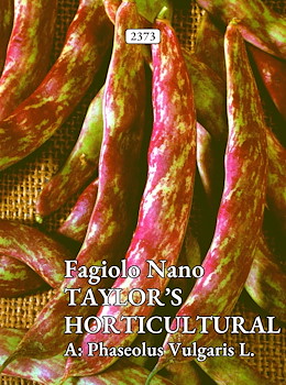 DA SGRANARE MEDIO-TARDIVO STRIATO ROSSO FRESCO E SECCO