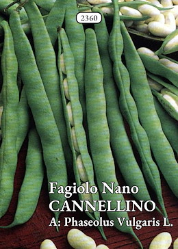 DA SGRANARE MEDIO-TARDIVO VERDE FRESCO E DA SURGELO