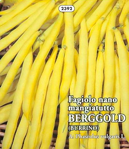 MANGIATUTTO MEDIO-PRECOCE GIALLO SENZA FILO