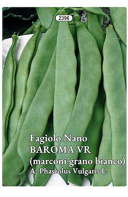 MANGIATUTTO MEDIO-PRECOCE VERDE BACCELLO LARGO