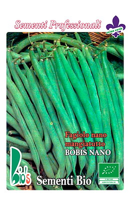 MANGIATUTTO MEDIO-PRECOCE VERDE BRILLANTE SENZA FILO