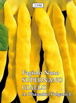 MANGIATUTTO MEDIO-TARDIVO GIALLO SENZA FILO
