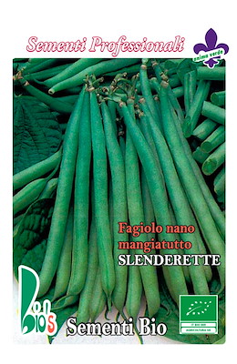 MANGIATUTTO MEDIO-TARDIVO VERDE BRILLANTE SENZA FILO