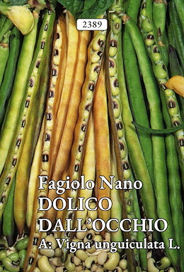 MANGIATUTTO TARDIVO VERDE CHIARO FRESCO E SECCO
