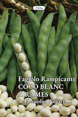 DA SGRANARE MEDIO-PRECOCE VERDE CHIARO FRESCO E DA SURGELO