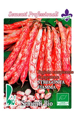 DA SGRANARE MEDIO-TARDIVO STRIATO ROSSO FRESCO E DA SURGELO