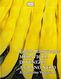 MANGIATUTTO TARDIVO GIALLO SENZA FILO