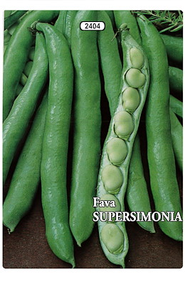 MEDIO-PRECOCE VERDE BRILLANTE