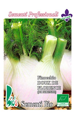 MEDIO-PRECOCE ALTO ROTONDO