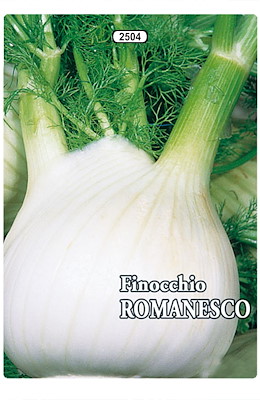 MEDIO-PRECOCE GROSSO ROTONDO