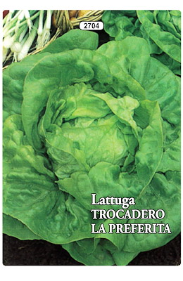 A CAPPUCCIO MEDIO-PRECOCE AUTUNNALE