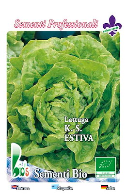 A CAPPUCCIO MEDIO-TARDIVA ESTIVA