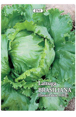 BATAVIA TARDIVA INVERNALE SEME BIANCO