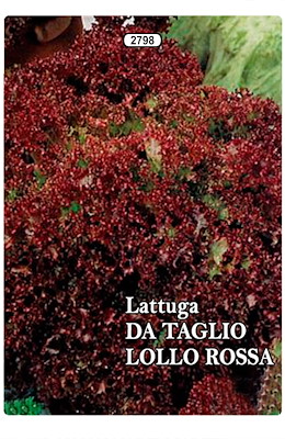 DA TAGLIO E DA CESPO MEDIO-PRECOCE