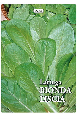 DA TAGLIO PRECOCISSIMA FOGLIA LISCIA