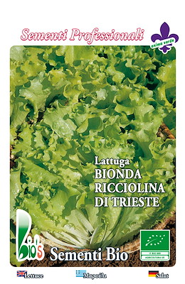 DA TAGLIO PRECOCISSIMA FOGLIA RICCIA