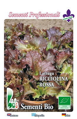 DA TAGLIO TARDIVA ROSSA