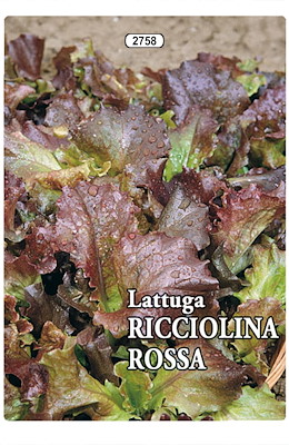 DA TAGLIO TARDIVA ROSSA