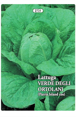 ROMANA MEDIO-PRECOCE