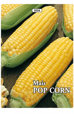 POP CORN