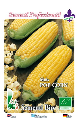 POP CORN