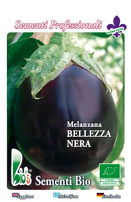 MEDIO-PRECOCE OVALE ALLUNGATA