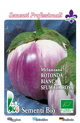 MEDIO-PRECOCE ROTONDA