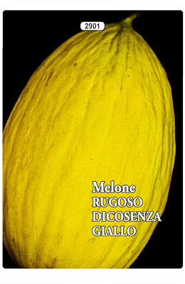 CONSERVAZIONE INVERNALE RUGOSO