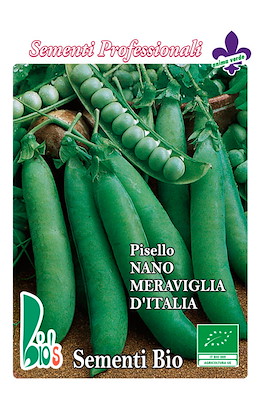 NANO GRANO LISCIO PRECOCE VERDE