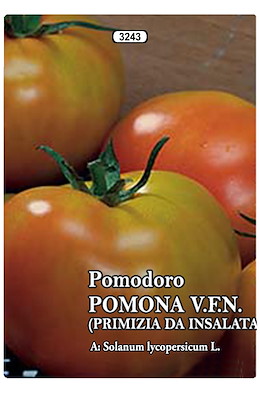 NANO TONDO MOLTO RESISTENTE