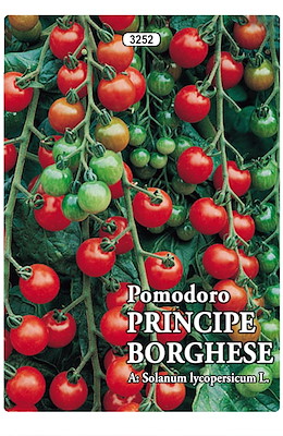 PICCOLO OVALE PER CONSERVAZIONE