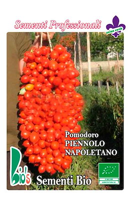 PIENNOLO NAPOLETANO
