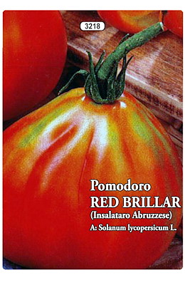 RAMPICANTE (DA CANNA) GROSSO GLOBOSO PER MERCATO FRESCO