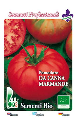 RAMPICANTE (DA CANNA) TONDO APPIATTITO