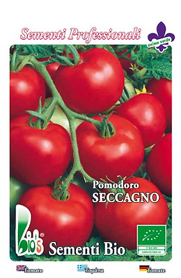 TONDO LEGGRMENTE APPIATTITO PER CONCENTRATI