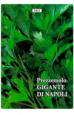 MEDIO-PRECOCE FOGLIA LISCIA