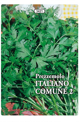 PRECOCE FOGLIA LISCIA