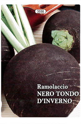 GRANDE TONDO NERO PRECOCE