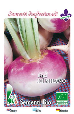 TARDIVA ROTONDA BIANCA