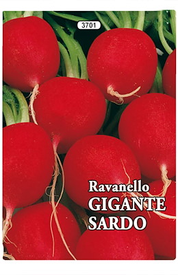 MEDIO-TARDIVO TONDO GROSSO