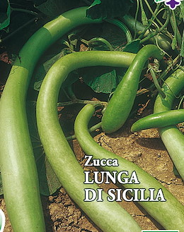 LUNGA CILINDRICA CAVATA VERDE