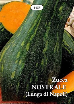 LUNGA CILINDRICA LISCIA GIALLO-VERDE