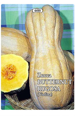 LUNGA CILINDRICA RUGOSA COLOR CREMA