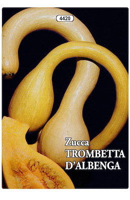 LUNGA SOTTILE GIALLA INTENSA