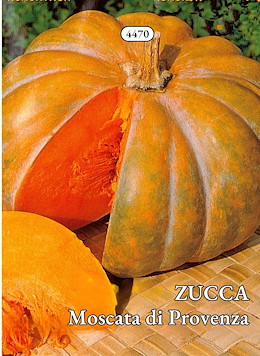 PIATTA ROTONDA COSTOLUTA ARANCIO SCURO